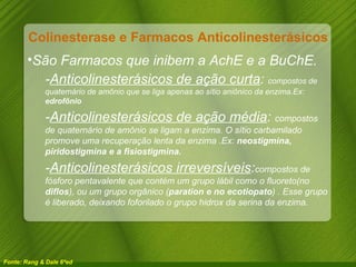 Colinesterase e Farmacos Anticolinesterásicos São Farmacos que inibem a AchE e a BuChE. - Anticolinesterásicos de ação curta :  compostos de quaternário de amônio que se liga apenas ao sítio aniônico da enzima.Ex:  edrofônio - Anticolinesterásicos de ação média :  compostos de quaternário de amônio se ligam a enzima. O sítio carbamilado promove uma recuperação lenta da enzima .Ex:  neostigmina, piridostigmina e a fisiostigmina. - Anticolinesterásicos irreversíveis : compostos de fósforo pentavalente que contém um grupo lábil como o fluoreto(no  diflos ), ou um grupo orgânico ( paration e no ecotiopato ) . Esse grupo é liberado, deixando foforilado o grupo hidrox da serina da enzima. Fonte: Rang & Dale 6ªed 