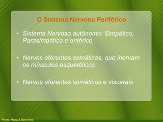 O Sistema Nervoso Periférico Sistema Nervoso autônomo: Simpático, Parasimpático e entérico Nervos eferentes somáticos, que inervam os músculos esqueléticos Nervos aferentes somáticos e viscerais Fonte: Rang & Dale 6ªed 