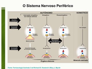 O Sistema Nervoso Periférico Fonte: Farmacologia Ilustrada 3 ed  Richard D. Howland e Mary J. Mycek 