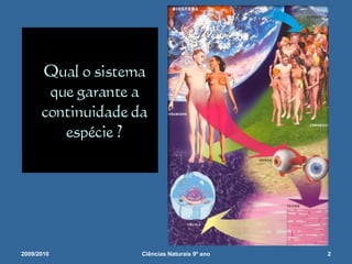 2009/20102Ciências Naturais 9º ano             