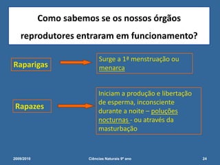 Raparigas
Surge a 1ª menstruação ou
menarca
Rapazes
Iniciam a produção e libertação
de esperma, inconsciente
durante a noite – poluções
nocturnas - ou através da
masturbação
Como sabemos se os nossos órgãos
reprodutores entraram em funcionamento?
2009/2010 24Ciências Naturais 9º ano
 