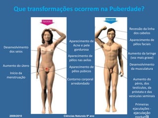 O que é a puberdade?Alterações físicas e psicológicas que acontecem na vida dos rapazes e raparigas, e que marcam o início de uma etapa muito importante: a adolescência. 2009/201011Ciências Naturais 9º ano             