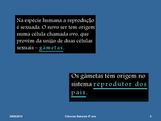 2009/20104Ciências Naturais 9º ano             