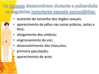 • aumento do tamanho dos órgãos sexuais;
• aparecimento de pêlos nas zonas púbicas, axilas e
  face;
• alargamento dos ombros;
• engrossamento da voz;
• desenvolvimento dos músculos;
• primeira ejaculação;
• aparecimento de acne.
 