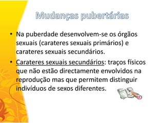 • Na puberdade desenvolvem-se os órgãos
  sexuais (carateres sexuais primários) e
  carateres sexuais secundários.
• Carateres sexuais secundários: traços físicos
  que não estão directamente envolvidos na
  reprodução mas que permitem distinguir
  indivíduos de sexos diferentes.
 