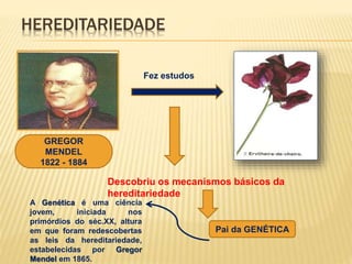 HEREDITARIEDADE 
GREGOR 
MENDEL 
1822 - 1884 
Fez estudos 
Descobriu os mecanismos básicos da 
hereditariedade 
Pai da GEN...