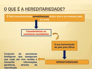 O QUE É A HEREDITARIEDADE? 
É fácil encontrarmos semelhanças entre nós e os nossos pais 
ou avós 
Características ou 
caracteres hereditários 
A sua transmissão 
de pais para filhos 
HEREDITARIEDADE 
Conjunto de processos 
biológicos que asseguram 
que cada ser vivo receba e 
transmita informações 
genéticas, através da 
reprodução 
 