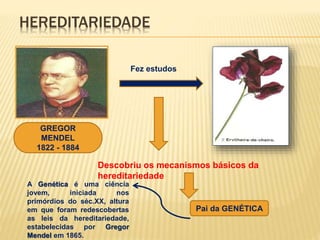 HEREDITARIEDADE 
GREGOR 
MENDEL 
1822 - 1884 
Fez estudos 
Descobriu os mecanismos básicos da 
hereditariedade 
Pai da GENÉTICA 
A Genética é uma ciência 
jovem, iniciada nos 
primórdios do séc.XX, altura 
em que foram redescobertas 
as leis da hereditariedade, 
estabelecidas por Gregor 
Mendel em 1865. 
 