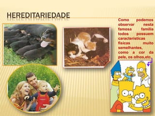 HEREDITARIEDADE 
Como podemos 
observar nesta 
famosa família 
todos possuem 
características 
físicas muito 
semelhantes, 
como a cor da 
pele, os olhos,etc. 
 