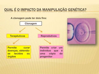 QUAL É O IMPACTO DA MANIPULAÇÃO GENÉTICA? 
A clonagem pode ter dois fins: 
Clonagem 
Terapêuticos Reprodutivos 
Permite curar 
doenças, obtendo-se 
tecidos ou 
órgãos 
Permite criar um 
indivíduo que é 
uma cópia do 
progenitor 
 