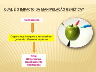 QUAL É O IMPACTO DA MANIPULAÇÃO GENÉTICA? 
Transgénicos 
Organismos em que se introduziram 
genes de diferentes espécies 
OGM 
(Organismos 
Geneticamente 
Modificados 
 