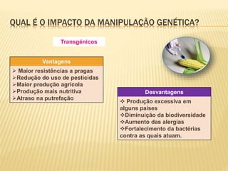 QUAL É O IMPACTO DA MANIPULAÇÃO GENÉTICA? 
Transgénicos 
Vantagens 
 Maior resistências a pragas 
Redução do uso de pesticidas 
Maior produção agrícola 
Produção mais nutritiva 
Atraso na putrefação 
Desvantagens 
 Produção excessiva em 
alguns países 
Diminuição da biodiversidade 
Aumento das alergias 
Fortalecimento da bactérias 
contra as quais atuam. 
 