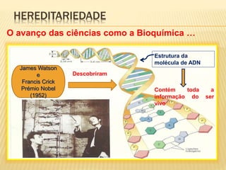 HEREDITARIEDADE 
O avanço das ciências como a Bioquímica … 
James Watson 
e 
Francis Crick 
Prémio Nobel 
(1952) 
Estrutura da 
molécula de ADN 
Contém toda a 
informação do ser 
vivo 
Descobriram 
 