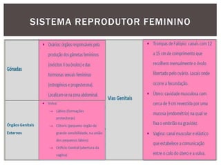 SISTEMA REPRODUTOR FEMININO
 