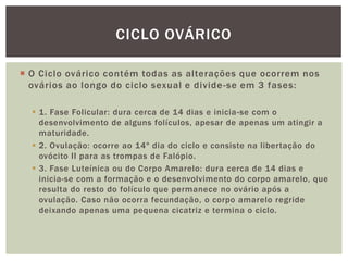 CICLO OVÁRICO

 O Ciclo ovárico contém todas as alterações que ocorrem nos
  ovários ao longo do ciclo sexual e divide -se em 3 fases:

   1. Fase Folicular: dura cerca de 14 dias e inicia -se com o
    desenvolvimento de alguns folículos, apesar de apenas um atingir a
    maturidade.
   2. Ovulação: ocorre ao 14º dia do ciclo e consiste na libertação do
    ovócito II para as trompas de Falópio.
   3. Fase Luteínica ou do Corpo Amarelo: dura cerca de 14 dias e
    inicia-se com a formação e o desenvolvimento do corpo amarelo, que
    resulta do resto do folículo que permanece no ovário após a
    ovulação. Caso não ocorra fecundação, o corpo amarelo regride
    deixando apenas uma pequena cicatriz e termina o ciclo.
 
