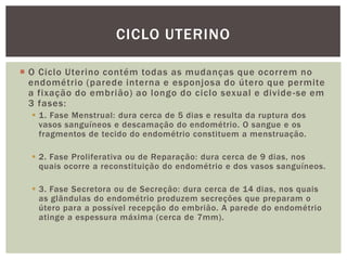 CICLO UTERINO

 O Ciclo Uterino contém todas as mudanças que ocorrem no
  endométrio (parede interna e esponjosa do útero que permite
  a fixação do embrião) ao longo do ciclo sexual e divide -se em
  3 fases:
   1. Fase Menstrual: dura cerca de 5 dias e resulta da ruptura dos
    vasos sanguíneos e descamação do endométrio. O sangue e os
    fragmentos de tecido do endométrio constituem a menstruação.

   2. Fase Proliferativa ou de Reparação: dura cerca de 9 dias, nos
    quais ocorre a reconstituição do endométrio e dos vasos sanguíneos.

   3. Fase Secretora ou de Secreção: dura cerca de 14 dias, nos quais
    as glândulas do endométrio produzem secreções que preparam o
    útero para a possível recepção do embrião. A parede do endométrio
    atinge a espessura máxima (cerca de 7mm).
 