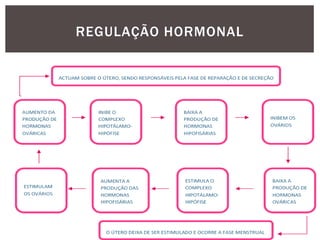 REGULAÇÃO HORMONAL
 