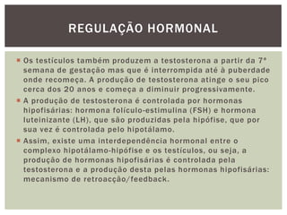 REGULAÇÃO HORM0NAL

 Os testículos também produzem a testosterona a partir da 7ª
  semana de gestação mas que é interrompida até à puberdade
  onde recomeça. A produção de testosterona atinge o seu pico
  cerca dos 20 anos e começa a diminuir progressivamente.
 A produção de testosterona é controlada por hormonas
  hipofisárias: hormona folículo -estimulina (FSH) e hormona
  luteinizante (LH), que são produzidas pela hipófise, que por
  sua vez é controlada pelo hipotálamo.
 Assim, existe uma interdependência hormonal entre o
  complexo hipotálamo-hipófise e os testículos, ou seja, a
  produção de hormonas hipofisárias é controlada pela
  testosterona e a produção desta pelas hormonas hipofisárias:
  mecanismo de retroacção/feedback.
 