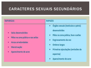 CARACTERES SEXUAIS SECUNDÁRIOS
 