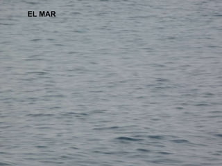 EL MAR 