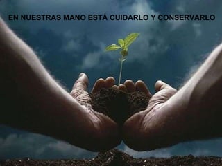 EN NUESTRAS MANO ESTÁ CUIDARLO Y CONSERVARLO 