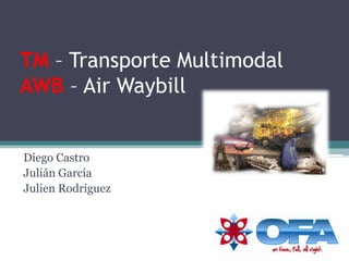 TM – Transporte MultimodalAWB – Air Waybill Diego Castro Julián García Julien Rodriguez 
