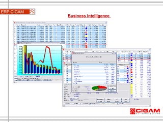 ERP CIGAM Business Intelligence  