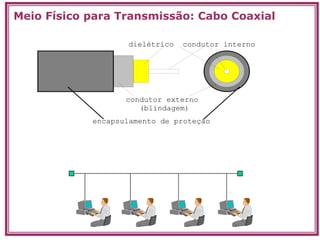 Transpa Redes, Internet