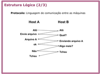 Transpa Redes, Internet