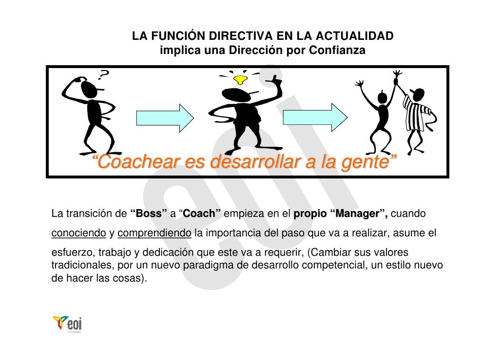 La función directiva