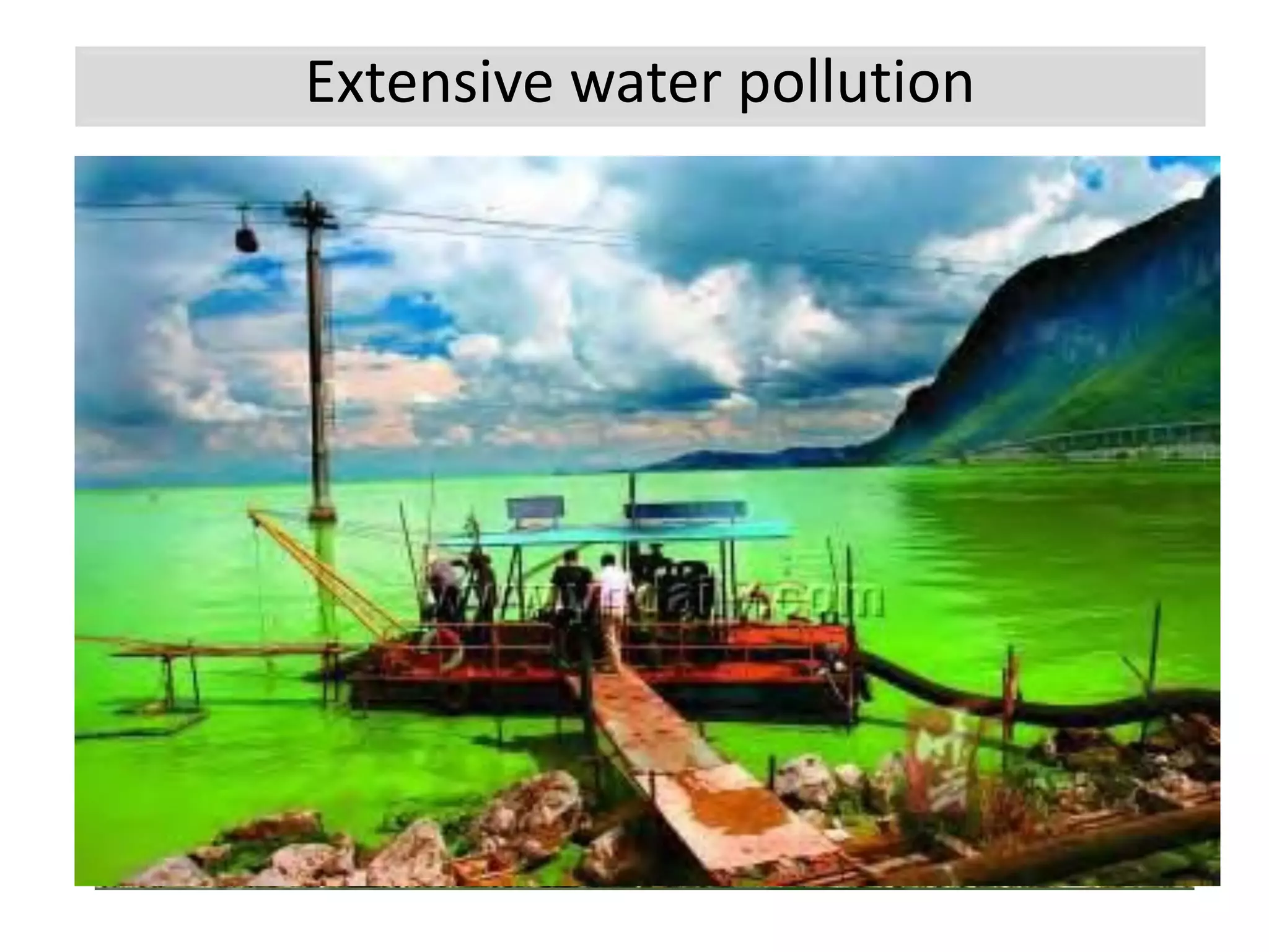 Extensive water pollution
 