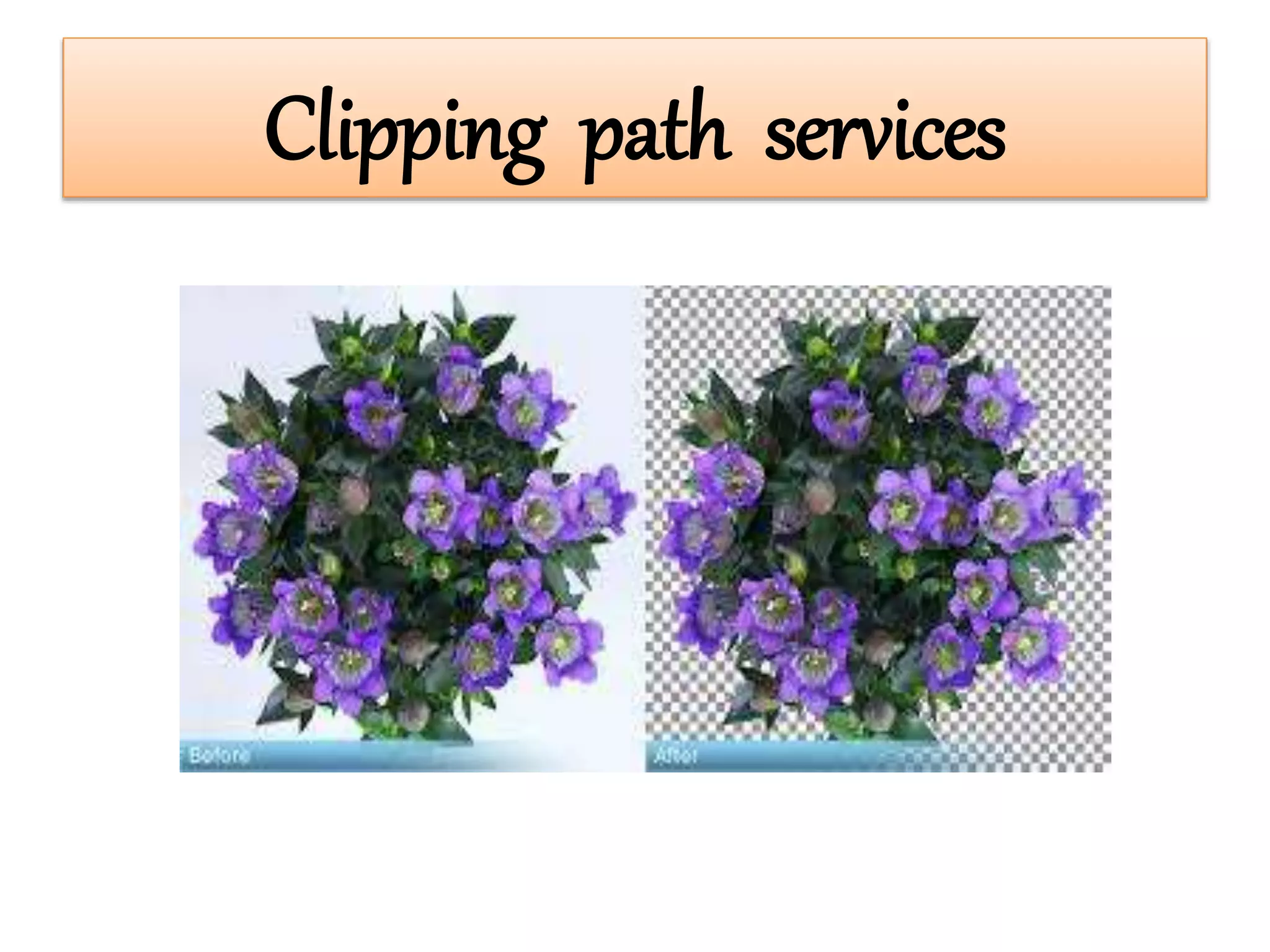 Clipping path services
 