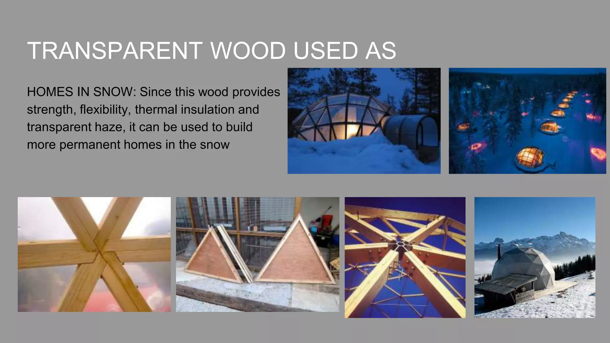 Translucent Timber Transparent Wood | PPTX