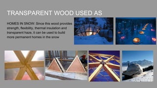 TRANSPARENT WOOD USED AS
HOMES IN SNOW: Since this wood provides
strength, flexibility, thermal insulation and
transparent haze, it can be used to build
more permanent homes in the snow
 