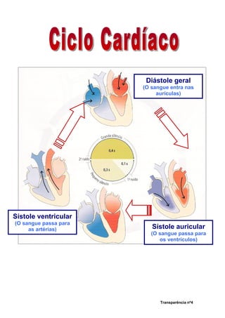 Diástole geral
                       (O sangue entra nas
                            aurículas)




Sístole ventricular
(O sangue passa para
     as artérias)         Sístole auricular
                          (O sangue passa para
                             os ventrículos)




                             Transparência nº4
 