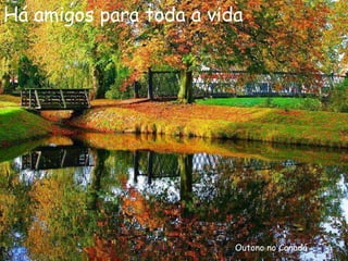 Outono no Canadá Há amigos para toda a vida 