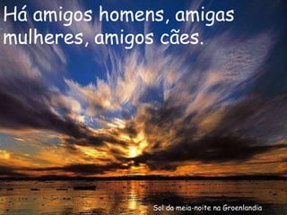 Sol da meia-noite na Groenlandia Há amigos homens, amigas mulheres, amigos cães. 