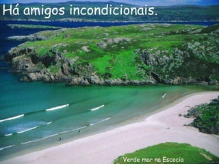 Verde mar na Escocia Há amigos incondicionais. 