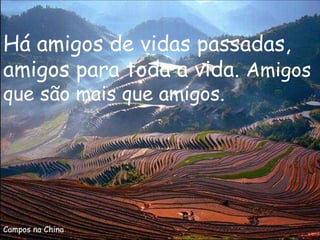 Campos na China Há amigos de vidas passadas, amigos para toda a vida.  Amigos que são mais que amigos. 