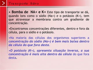 Transporte Ativo Bomba de  NA+ e K+   Este tipo de transporte se dá, quando íons como o sódio (Na+) e o potássio (K+), tem que atravessar a membrana contra um gradiente de concentração.  Encontramos concentrações diferentes, dentro e fora da célula, para o sódio e o potássio.  Na maioria das células dos organismos superiores a  concentração do sódio (Na+) é bem mais baixa dentro da célula do que fora desta .   O potássio (K+), apresenta situação inversa, a sua concentração é mais alta dentro da célula   do que fora desta .  