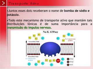 Transporte Ativo Juntos esses dois receberam o nome de  bomba de sódio e potássio .   Todo este mecanismo de transporte ativo que mantém tais distribuições iônicas é de suma importância para a  transmissão do impulso nervoso. 