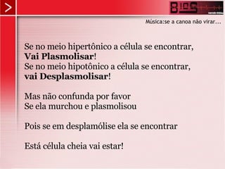 Se no meio hipertônico a célula se encontrar, Vai Plasmolisar ! Se no meio hipotônico a célula se encontrar, vai Desplasmolisar ! Mas não confunda por favor Se ela murchou e plasmolisou Pois se em desplamólise ela se encontrar Está célula cheia vai estar! Música:se a canoa não virar... 