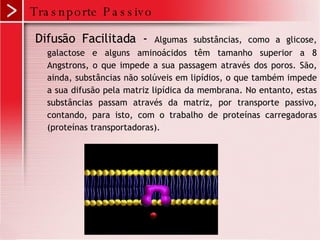 Difusão Facilitada -  Algumas substâncias, como a glicose, galactose e alguns aminoácidos têm tamanho superior a 8 Angstrons, o que impede a sua passagem através dos poros. São, ainda, substâncias não solúveis em lipídios, o que também impede a sua difusão pela matriz lipídica da membrana. No entanto, estas substâncias passam através da matriz, por transporte passivo, contando, para isto, com o trabalho de proteínas carregadoras (proteínas transportadoras).  Trasnporte Passivo 