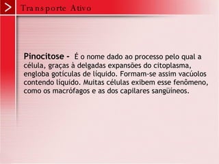 Transporte Ativo Pinocitose -  É o nome dado ao processo pelo qual a célula, graças à delgadas expansões do citoplasma, engloba gotículas de líquido. Formam-se assim vacúolos contendo líquido. Muitas células exibem esse fenômeno, como os macrófagos e as dos capilares sangüíneos.  