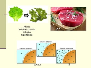 xx/xx 8 
Alface 
colocado numa 
solução 
hipertônica 
 