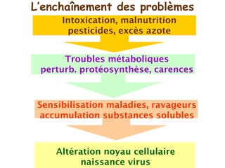 Connaissance du sol et pratiques agricoles