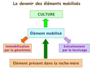 Connaissance du sol et pratiques agricoles