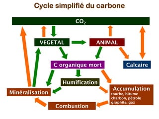 Connaissance du sol et pratiques agricoles