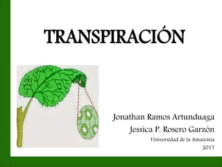 TRANSPIRACIÓN
Jonathan Ramos Artunduaga
Jessica P. Rosero Garzón
Universidad de la Amazonia
2017
 