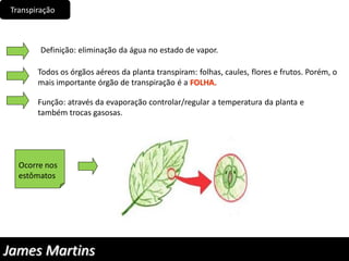 Transpiração
Definição: eliminação da água no estado de vapor.
Todos os órgãos aéreos da planta transpiram: folhas, caules, flores e frutos. Porém, o
mais importante órgão de transpiração é a FOLHA.
Função: através da evaporação controlar/regular a temperatura da planta e
também trocas gasosas.
Ocorre nos
estômatos
James Martins
 